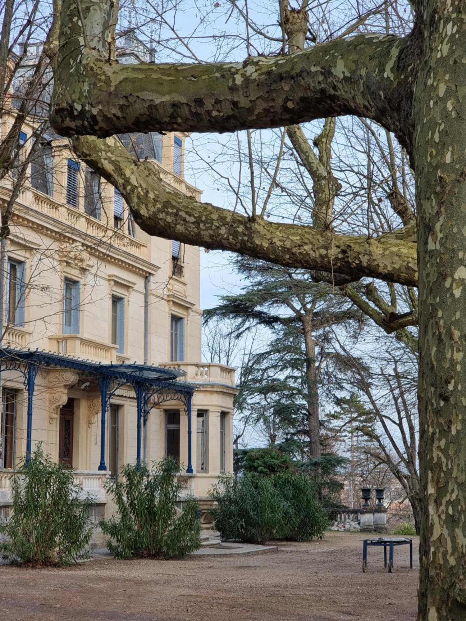 Hotel-Musee Villa Bagatelle Irigny Εξωτερικό φωτογραφία